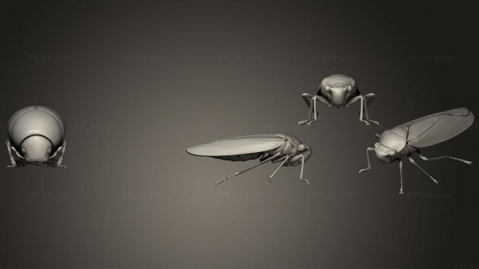 Насекомые (Жуки-насекомые 8, INSCT_0041) 3D модель для ЧПУ станка